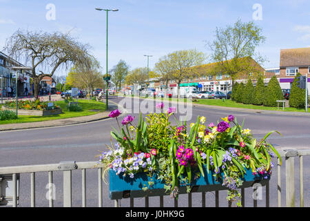 Lit de fleur dans une petite ville du sud de l'Angleterre au printemps. Pris dans Norfolk Arms, West Sussex, Angleterre, Royaume-Uni. Banque D'Images