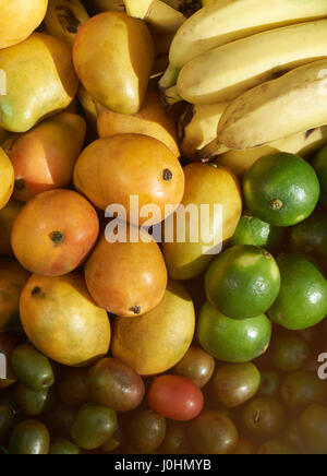 Fruits tropicaux multicolores sur le marché. Mélange de différents fruits Banque D'Images