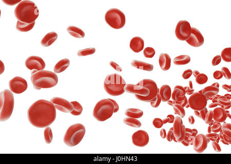 Les globules rouges : responsable de plus de transport de l'oxygène, pH du sang, une régulation de l'alimentation et la protection des cages d'un organisme. Le rendu 3D isolated on white backgorund Banque D'Images