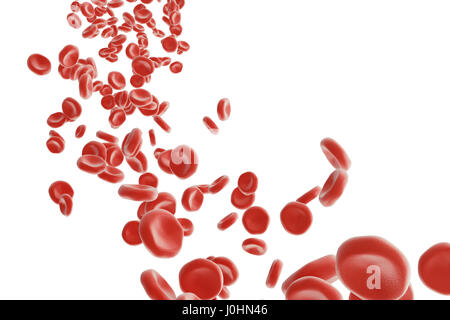Les globules rouges : responsable de plus de transport de l'oxygène, pH du sang, une régulation de l'alimentation et la protection des cages d'un organisme. Le rendu 3D isolated on white backgorund Banque D'Images