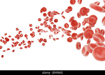 Les globules rouges : responsable de plus de transport de l'oxygène, pH du sang, une régulation de l'alimentation et la protection des cages d'un organisme. Le rendu 3D isolated on white backgorund Banque D'Images