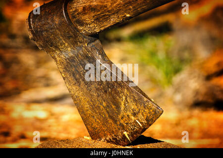 Une hache dans une souche d'arbre dans les régions rurales de la Géorgie. Banque D'Images