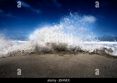 Le fracas des vagues à la plage de rochers de soufflage à Jupiter, en Floride. Banque D'Images