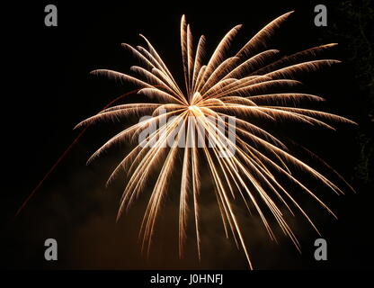 Une longue exposition photo d'une rafale d'artifice d'or, contre un fond de ciel de nuit noire. La lumière peinture photographie d'un feu de joie sur la nuit. Banque D'Images