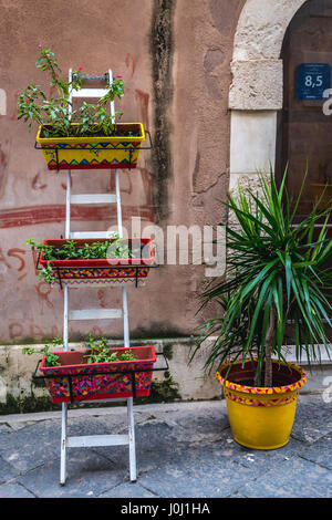 Les pots de fleurs sur l'île d'Ortygie, partie historique de la ville de Syracuse, l'angle sud-est de l'île de la Sicile, Italie Banque D'Images