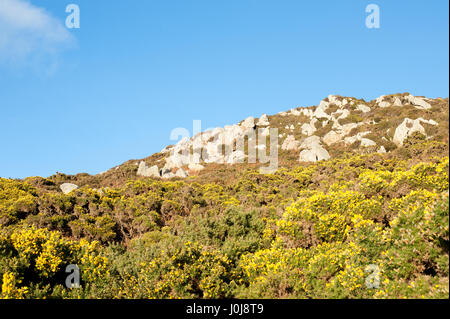 Belle colline dans la péninsule de Howth en Irlande Banque D'Images