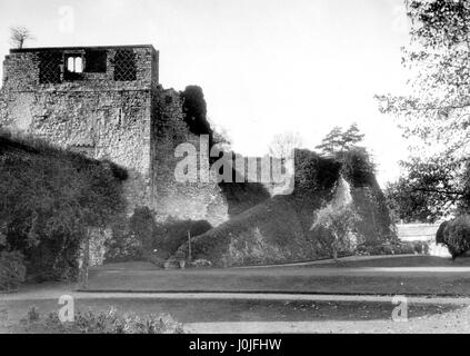 Le Donjon, Château de Farnham, la seule demeure considérable de l'édifice construit par Henry de Blois en 1136. L'accès au toit est acquise par une grande volée de marches, menant une avenue voûtée de la maçonnerie solide. La partie supérieure est maintenant le site d'un jardin fleuri d'où vous aurez une vue étendue sur le parc et la ville de Farnham, Surrey. Banque D'Images