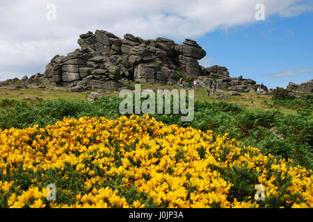 Hound Tor près de Manaton Dartmoor National Park, Royaume-Uni Banque D'Images