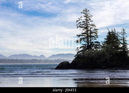 Baie Wickaninnish et de long Beach, près de Tofino sur l'île de Vancouver, BC, Canada prises de près de sentier de Schooner Cove Banque D'Images