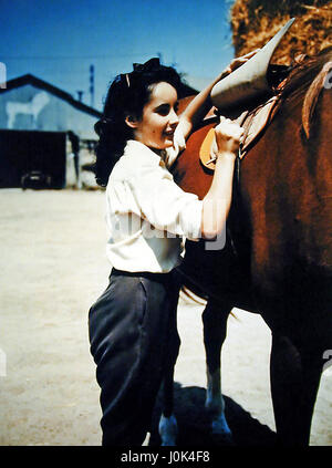Kleines Mädchen, grosses Herz aka. National Velvet, USA 1944 Regie : Clarence Brown acteurs : Mickey Rooney, Elizabeth Taylor, Donald Crisp Banque D'Images