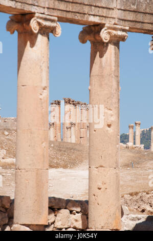 Jordanie : colonnes ioniques de l'Ovale Plaza, la place principale du site archéologique de Jerash, et les colonnes corinthiennes du Temple d'Artémis Banque D'Images