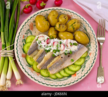 Le hareng avec bébé pommes de terre et salade de concombre Banque D'Images