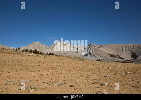 CA03211-00...CALIFORNIE - Vue sur le Mont Whitney de la Bighorn Plateau le long la PCT/JMT dans Sequoia National Park. Banque D'Images