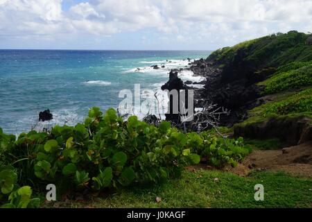 Site naturel Blackrocks, Sadlers, Saint Kitts et Nevis. Banque D'Images