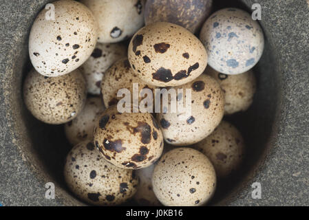 Groupe d'oeufs de cailles sur table Banque D'Images