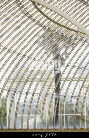 Le jardin botanique de palm vu à travers la paroi de verre Banque D'Images