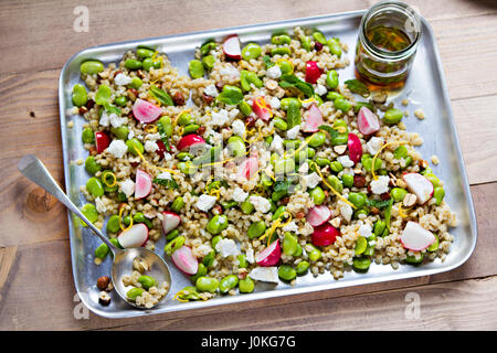 Salade de printemps avec la fève, radis, fromage feta, l'orge et écrous Banque D'Images