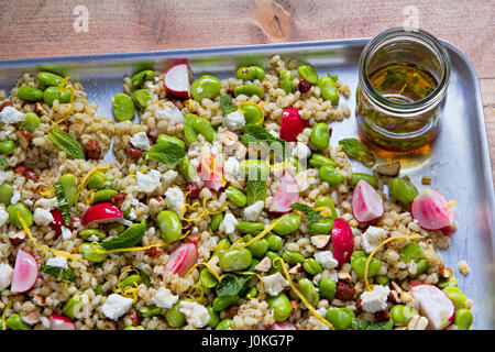 Salade de printemps avec la fève, radis, fromage feta, l'orge et écrous Banque D'Images