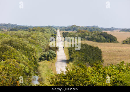 Route de la tour d'observation dans la région de Shark Valley Parc National des Everglades en Floride Banque D'Images