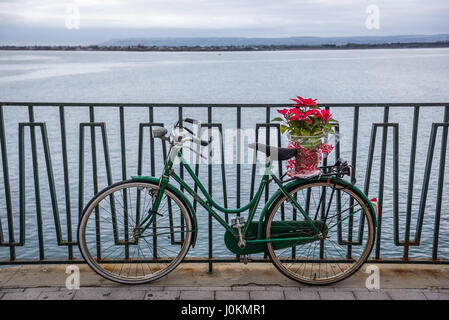 Vélo rétro avec Poinsettia fleur sur Alfeo Promenade du l'île d'Ortygie, partie historique de la ville de Syracuse, Sicile, Italie Île Banque D'Images