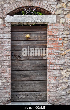 Ancienne porte en bois avec Golden Lion Heurtoir Banque D'Images