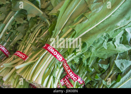 Vert - l'Close-Up Banque D'Images