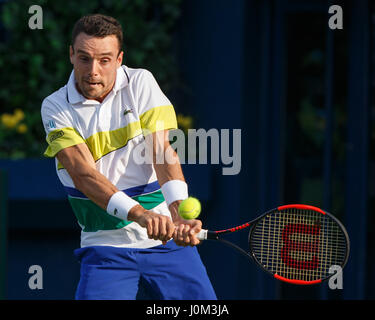 ROBERTO BAUTISTA AGUT (ESP) en action Banque D'Images