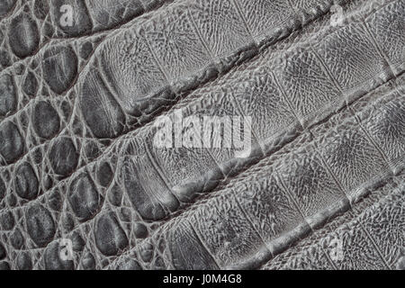 La texture en cuir véritable peau de crocodile, l'arrière-plan Imprimer, surface mate, mode Pattern. Arrangement Diagonal. Concept de shopping, fabrication Banque D'Images