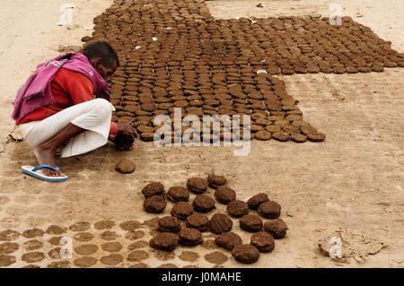 Varanasi, Inde - 09 février : le séchage de la bouse de vache suivante appliquée comme combustible dans la ville sainte indienne Varanasi, Inde, Varanasi en février 09, 2010 Banque D'Images