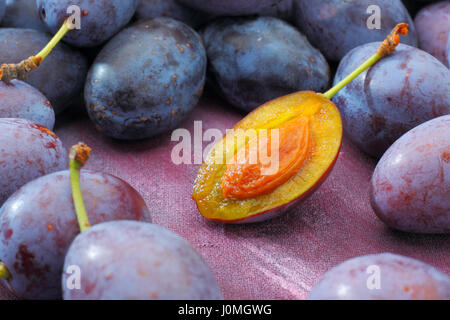 Damson plum (damasquinage) fruits allongés sur fond textile peint. Une moitié de fruit avec pierre visibles (noyau). Banque D'Images