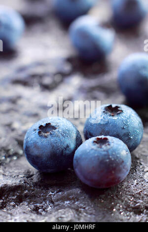 Le bleuet en corymbe bleuets (Nord) fruits sur pierre peint foncé avec de l'eau gouttes Banque D'Images