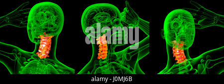 Le rendu 3d illustration médicale de la colonne cervicale Banque D'Images