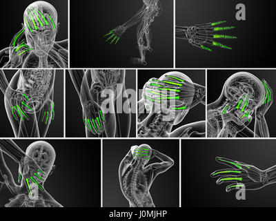 Le rendu 3d illustration de la main des phalanges Banque D'Images