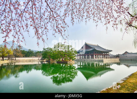 Le printemps à Gyeongbokgung palace à Séoul, Corée du Sud. Banque D'Images