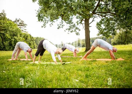 Quatre personnes faisant du yoga dans le champ. Banque D'Images
