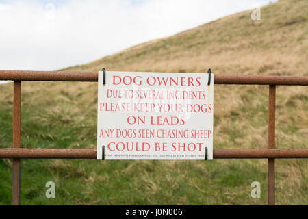 Les chiens non pas sur les leads chasing sheep warning sign on leur orthographe Banque D'Images