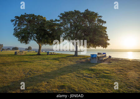 Tôt le matin à Crown Point Shores Park en vue de Mission Bay à l'arrière-plan. San Diego, Californie, USA. Banque D'Images