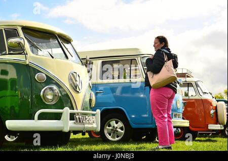 Royaume-uni Angleterre Shropshire Oswestry samedi de Pâques 15 avril 2017 classique sur les camping-cars Volkswagen montrent à l'assemblée annuelle des types de bus festival week-end il l'Oswestry showground sur Easter Bank Holiday samedi. Des centaines de l'emblématique véhicules ont défilé dans la petite ville pour le premier festival de la saison VW Show 2017 Credit : Keith morris/Alamy Live News Banque D'Images