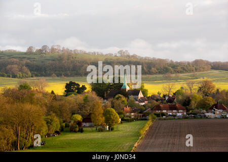 Harting sud West Sussex avec flèche de St Mary et St Gabriel et maisons de village dans la lumière du matin avec champ de colza en arrière-plan Banque D'Images