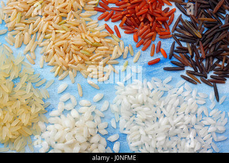 Variété de grains de riz au fond textile peint bleu. Vue de dessus. Banque D'Images