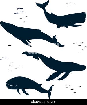 Les mammifères marins. Silhouette Illustration de Vecteur