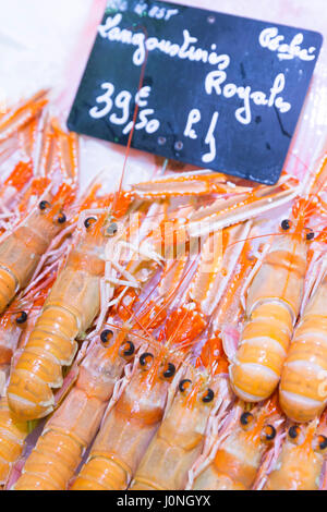 Langoustines sur l'affichage pour la vente au marché alimentaire à st martin de re, ile de re, france Banque D'Images