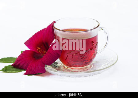 Roselle (Hibiscus Sabdariffa) et d'un plateau de fleurs sur fond blanc Banque D'Images