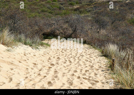 Empreintes de pas sur les dunes de sable des dunes du Westhoek, La Panne, Belgique. Banque D'Images