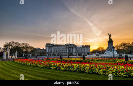 Les lumières à la tombée de ciel jaune et Buckingham Palace, London, UK Banque D'Images