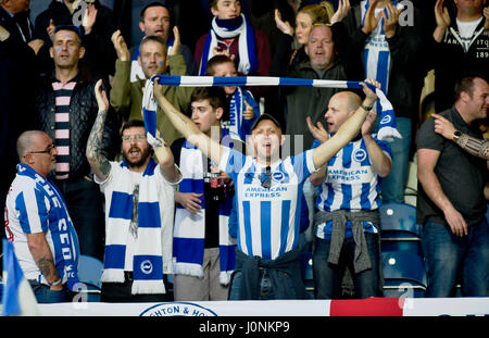 Mouettes Cheshire fans pendant le ciel parier match de championnat entre les Queens Park Rangers et de Brighton et Hove Albion à Loftus Road London . 7 avril 2017 Banque D'Images