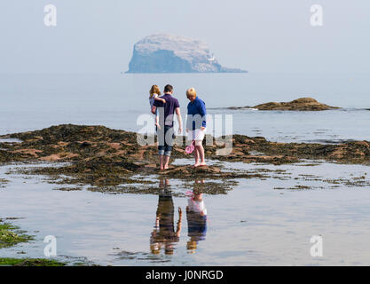 Découverte de la famille des rochers sur la plage à North Berwick avec Bass Rock dans la distance, en East Lothian, Ecosse, Royaume-Uni. Banque D'Images