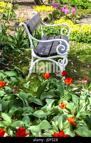 Jardin de tulipes fleuries, banc dans pelouse de jardin en fleurs sous l'arbre Banque D'Images