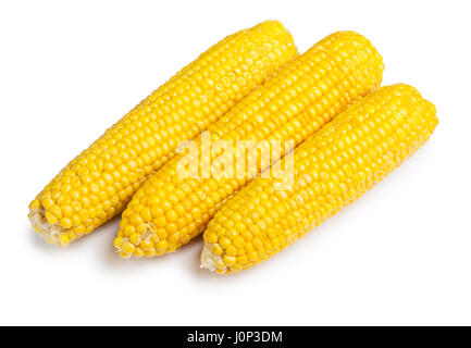 Corn Cob isolé sur fond blanc Banque D'Images