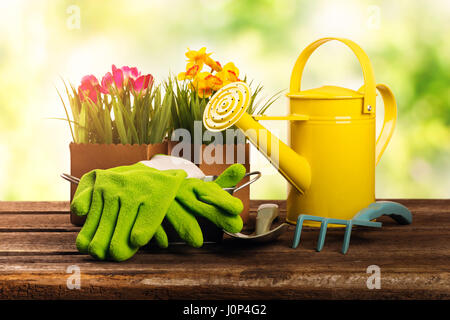 Outils de jardinage et de fleurs sur la vieille table en bois dans le jardin Banque D'Images